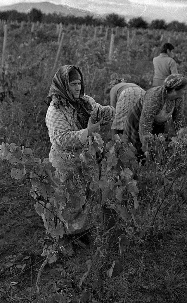 Повседневная жизнь в советской Грузии 1976 года в фотографиях шведского фотографа