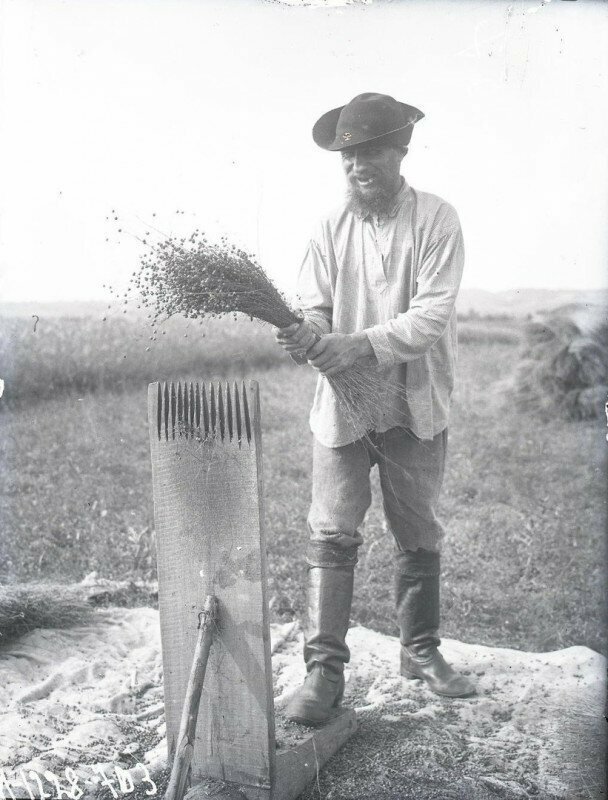 Крестьянин за обдиркой семян льна, 1927 год