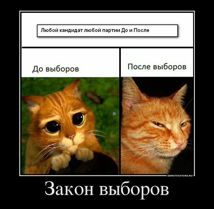 Политические демотиваторы