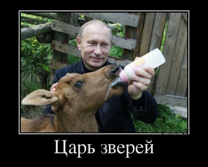 Политические демотиваторы