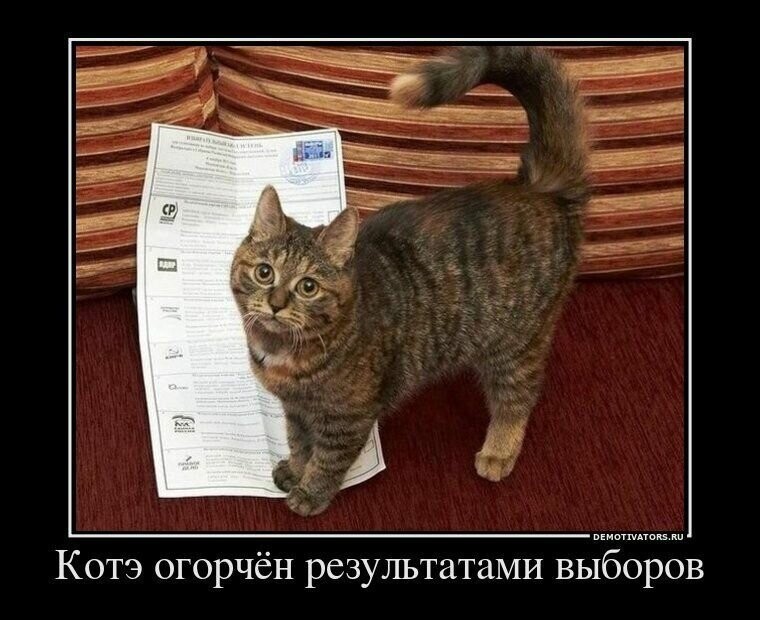 Политические демотиваторы