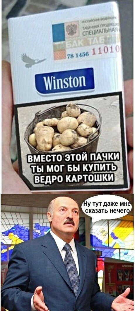 Прикольные и смешные картинки