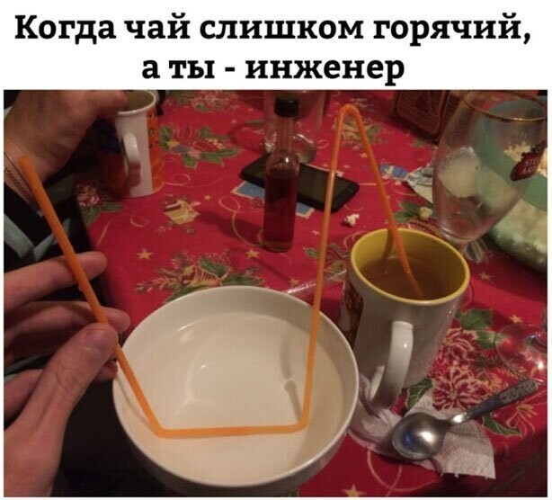 Прикольные и смешные картинки