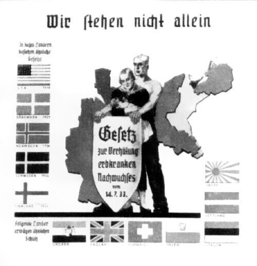 «Мы не одиноки»: Немецкий плакат 1936 года с флагами стран, где разрешалась принудительная стерилизация