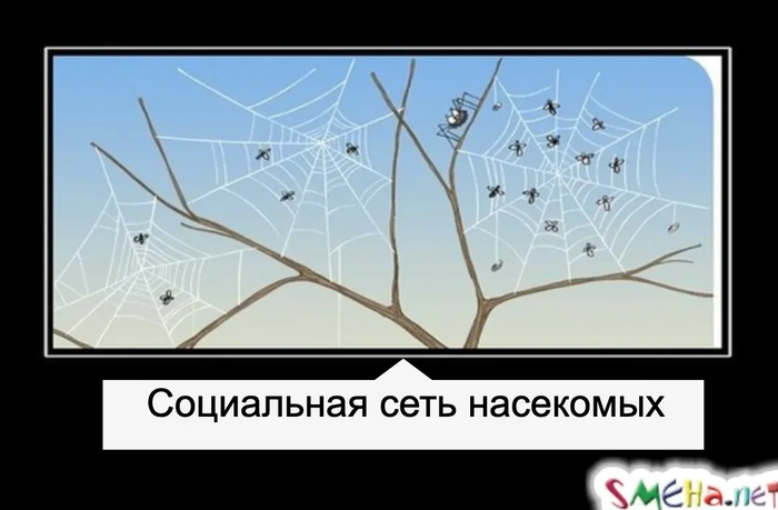 Подборка прикольных картинок с Фейсбука