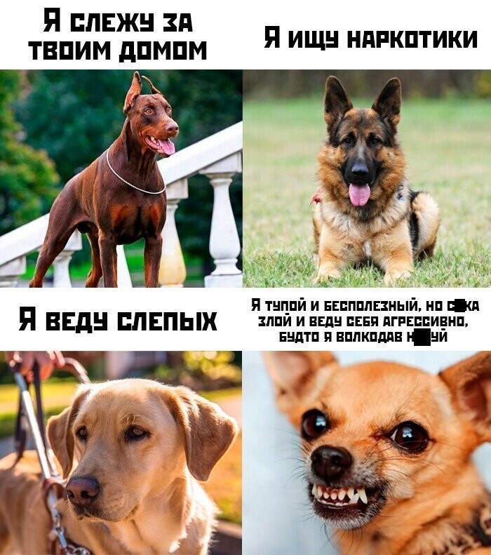 Намешалось