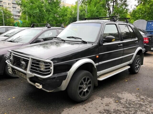 Автовсячина