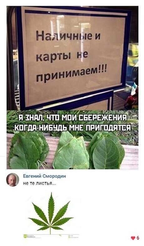 Прикольные и смешные картинки