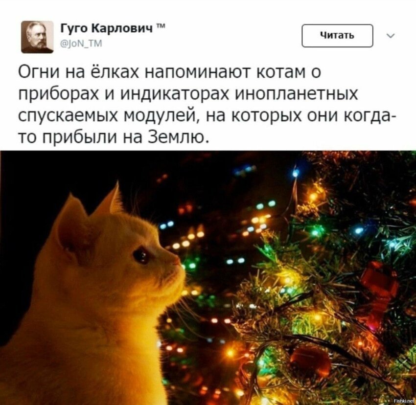 Солянка от 12.12.2019