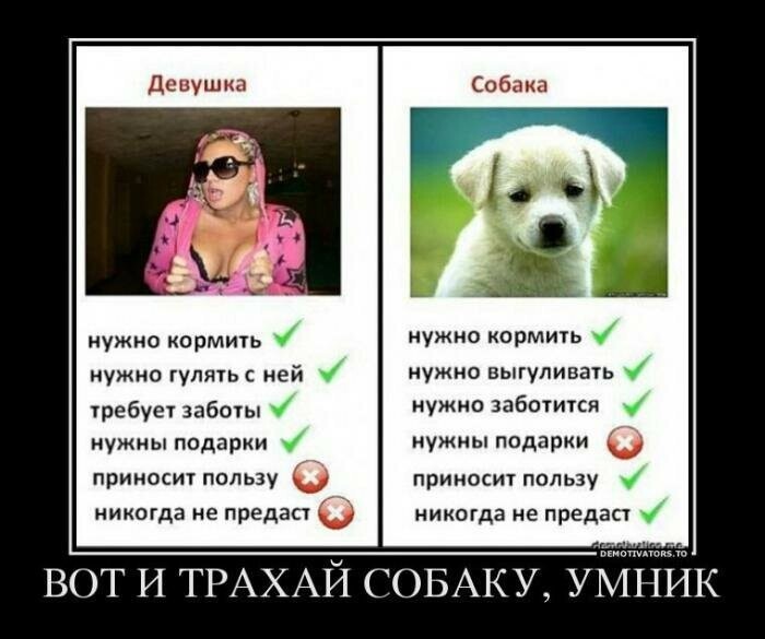 Демотиваторы