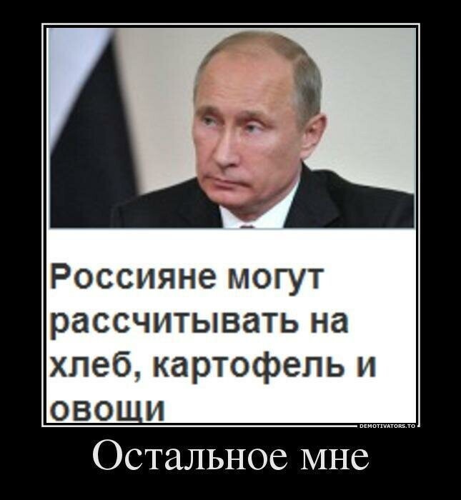 Образ Путина в демотиваторах