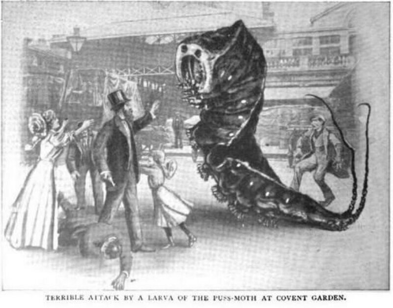 В 1909 году лондонский журнал представил, что произойдет, если гигантские насекомые нападут на город
