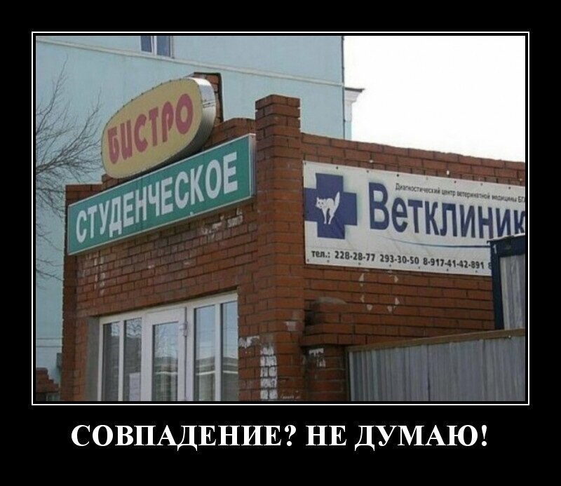 Демотиваторы