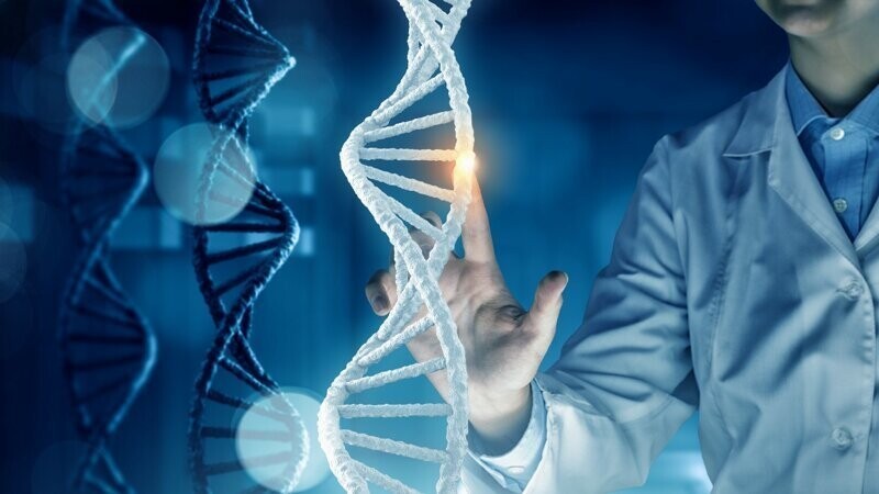 Американский генетик создаёт приложение для знакомств по ДНК