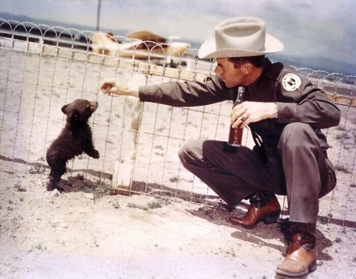 Офицер и медвежонок, живое воплощение Медведя Смоки (талисман службы леса США), 1950 г. 