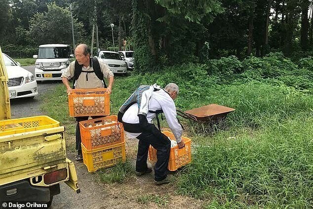 Экзоскелеты помогают избежать травм, они широко применяются на производстве, в строительстве