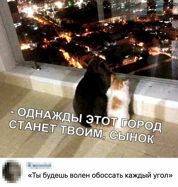 Не ищите здесь смысл. Здесь в основном маразм