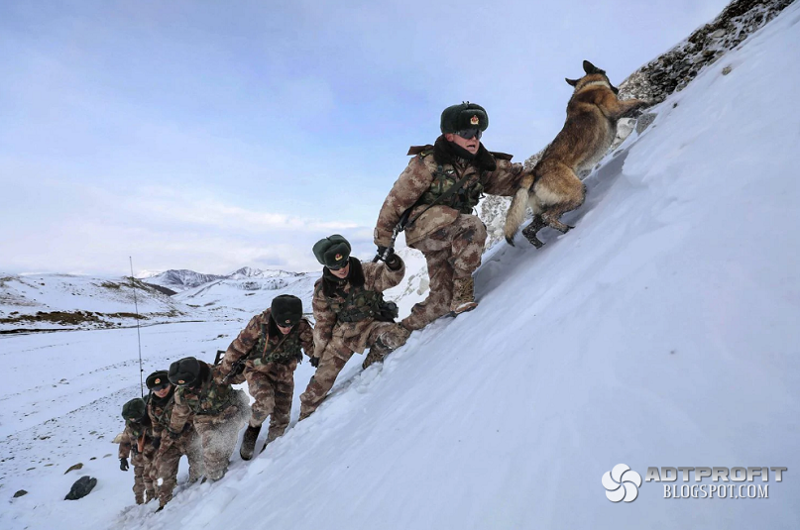 2019 в картинках