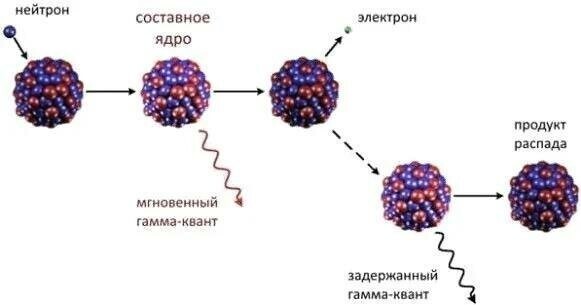 Америций-242: для разнообразия ядерной войны