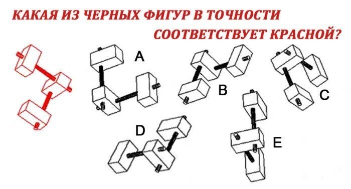 Вернуть бодрость ума людям старшего возраста