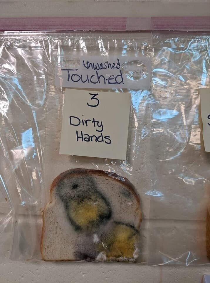 Хлеб, который потрогали дети с грязными руками