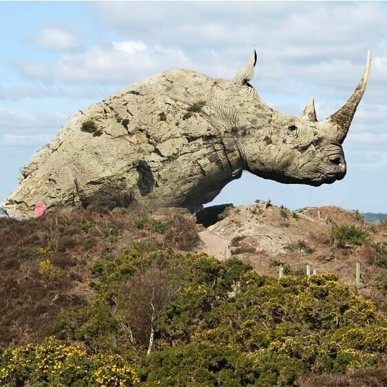 8. Скала-носорог