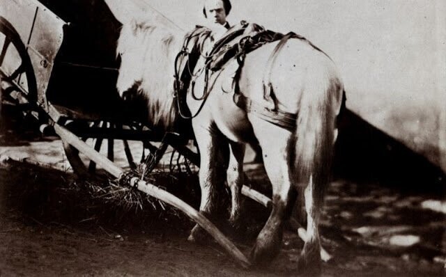 Мужчина с лошадью, 1855