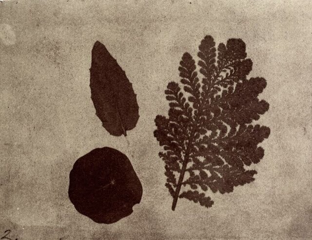 Листья, 1840