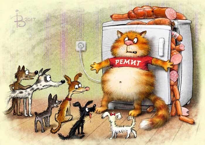 Коты Минской художницы Ирины Зенюк