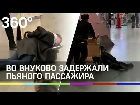 Полиция прокатила пьяного дебошира на тележке во «Внуково» 
