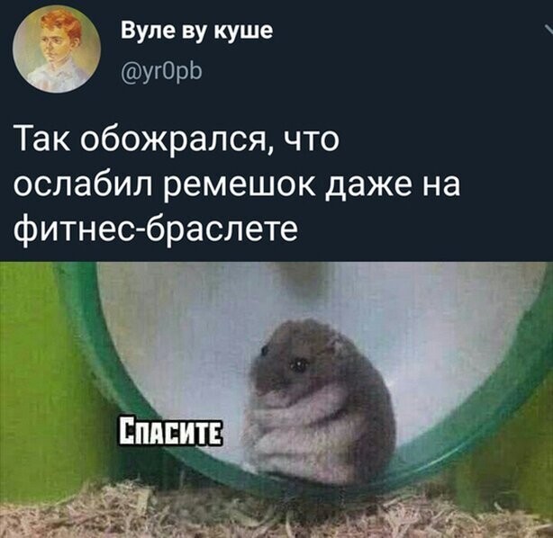 Прикольные и смешные картинки