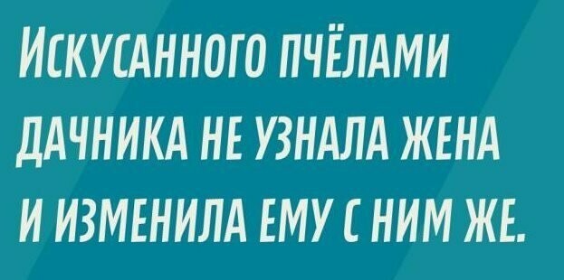 Смехопанорама с субботним настроем