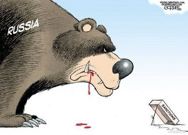 Санкции - больной вопрос ?