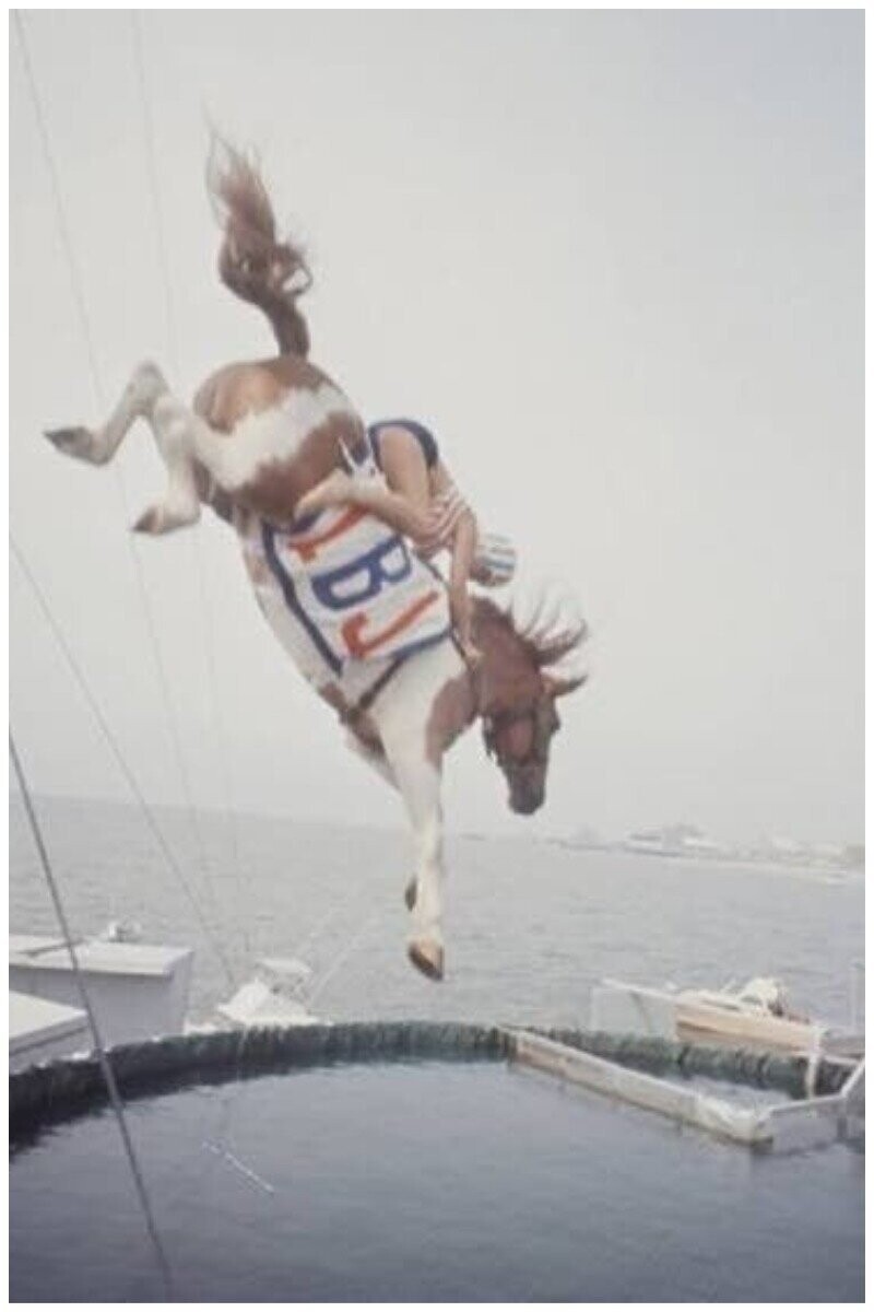 В 1978 году защитники животных наконец таки добились запрета этого издевательского номера с ныряющими лошадьми...