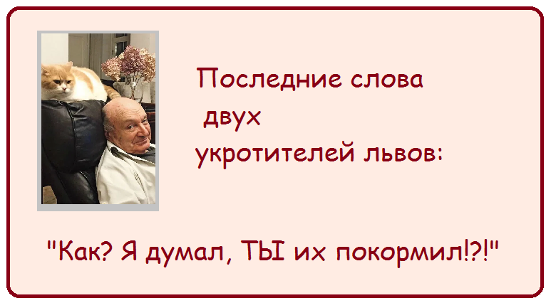 "Все идет хорошо, только мимо"