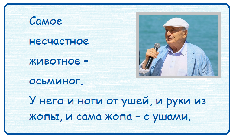 "Все идет хорошо, только мимо"