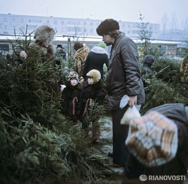 Выбор ёлочки. 1980-е