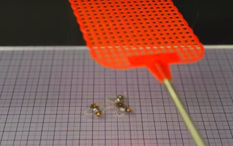 Инженеры создали «бессмертную» робота-муху (видео)