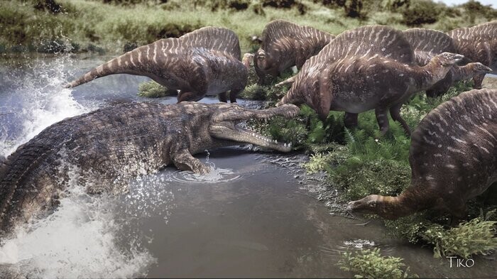 Огромный крокодил (Саркозух, Sarcosuchus imperator)