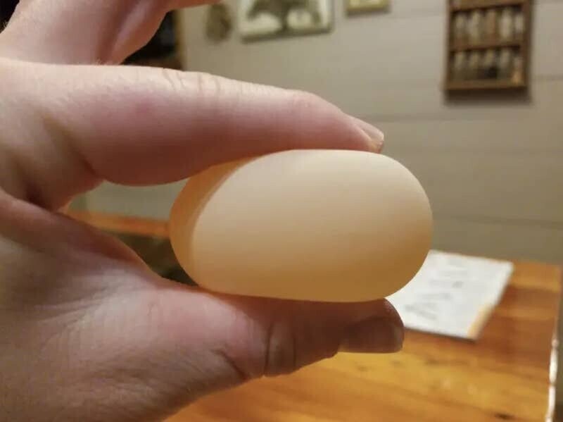 Отложенное курицей яйцо без скорлупы