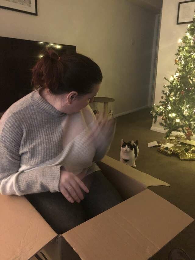 Девушка решила сделать фото в коробке, и в этот момент в комнату зашла кошка