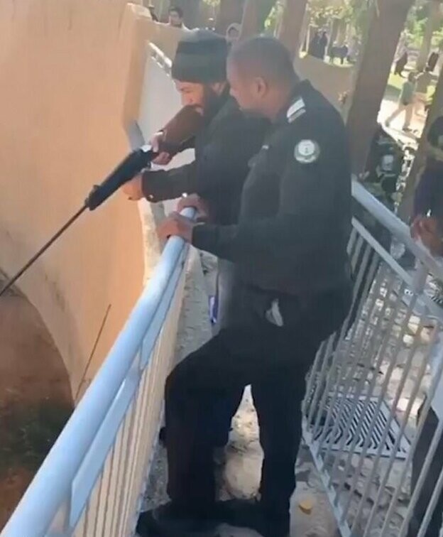 Сотрудники зоопарка, используя винтовку с транквилизатором, усыпили хищницу