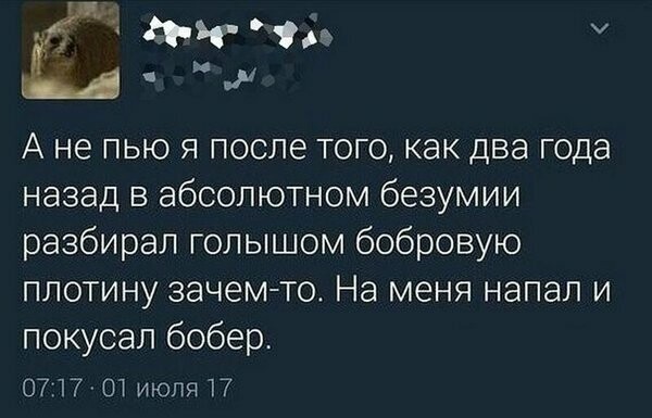 Намешалось. (бредятина)