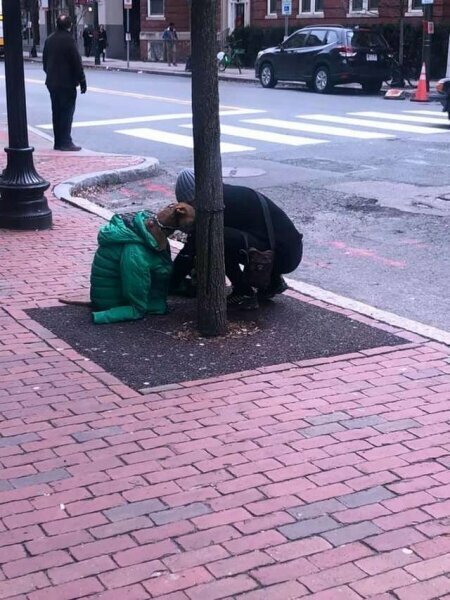 Хозяйка не смогла взять пса с собой в здание, поэтому оставила его на улице — но сделала так, чтобы ему не было холодно