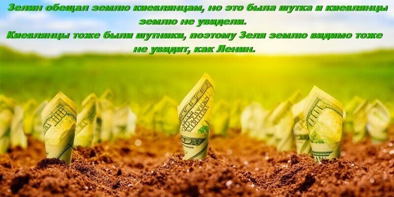 - Что можно посоветовать современным крестьянам Укроины?  - Не лезть на чужую землю со своей репкой!