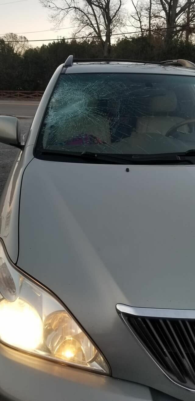 В США крупный сом с неба упал на автомобиль и разбил лобовое стекло