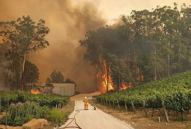 За шесть дней огонь нанес значительный ущерб Южной Австралии