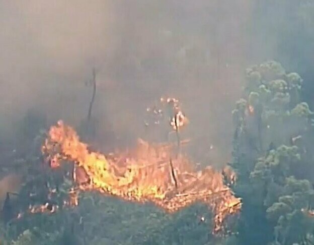 Пожар на Аделаидских холмах уничтожил 25000 гектаров земли