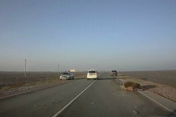 Красиво бычара из жизни ушел!