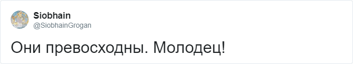 Пользователи Твиттера были в восторге от этой идеи